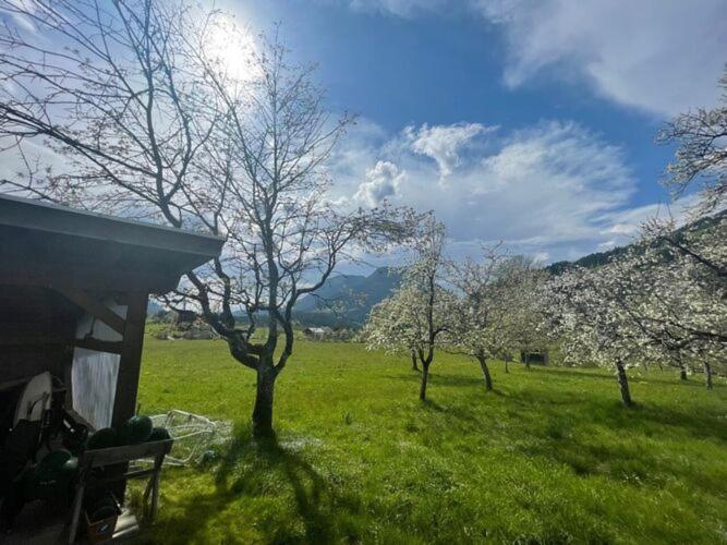 Holiday Home, Soell Dış mekan fotoğraf